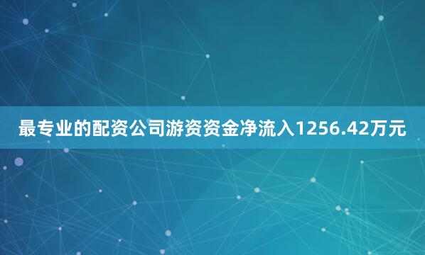 最专业的配资公司游资资金净流入1256.42万元