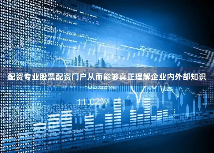 配资专业股票配资门户从而能够真正理解企业内外部知识